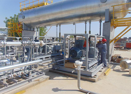 高压往复泵（印度油田项目）